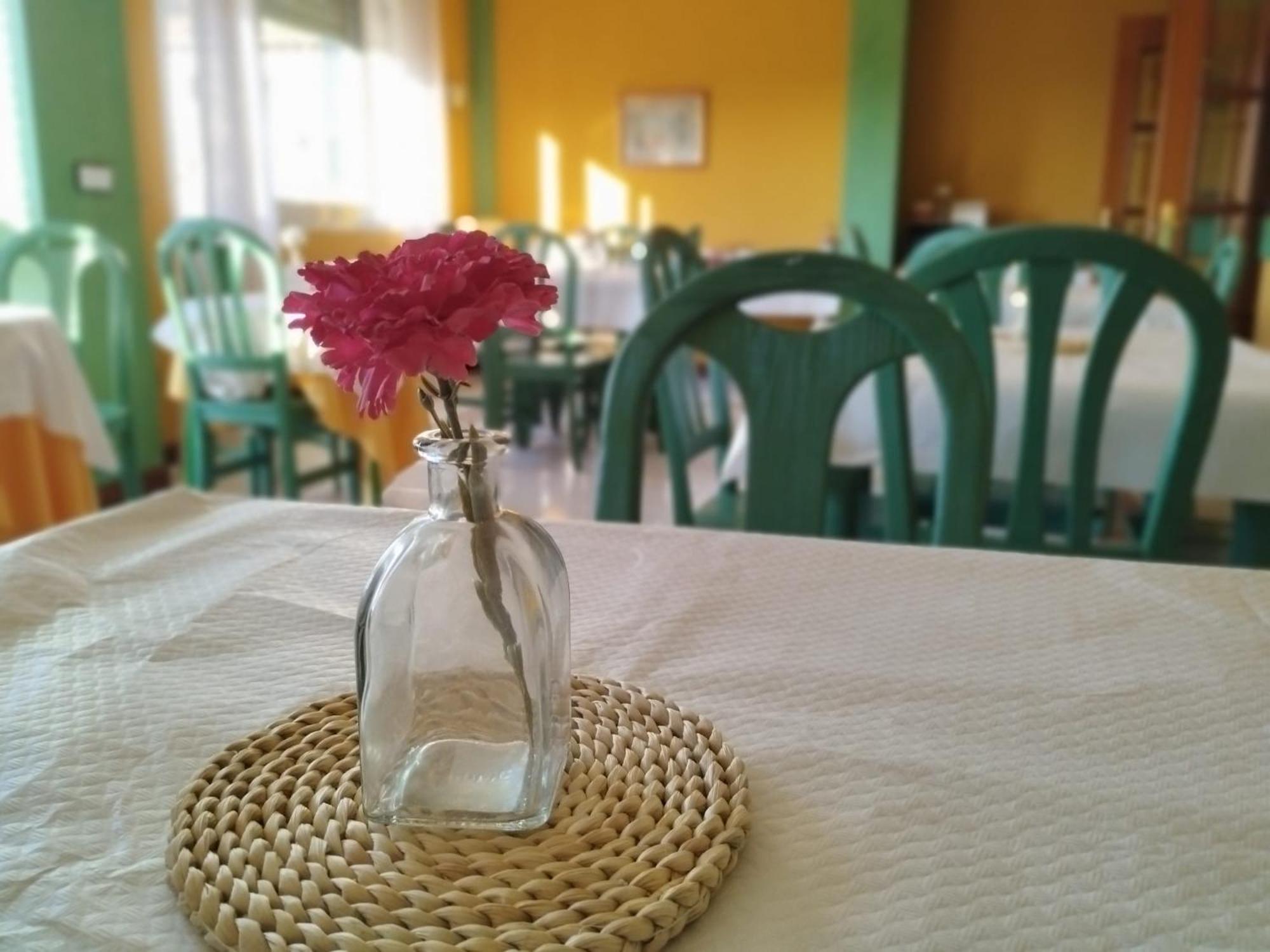 Hotel Matalenas سانتاندر المظهر الخارجي الصورة